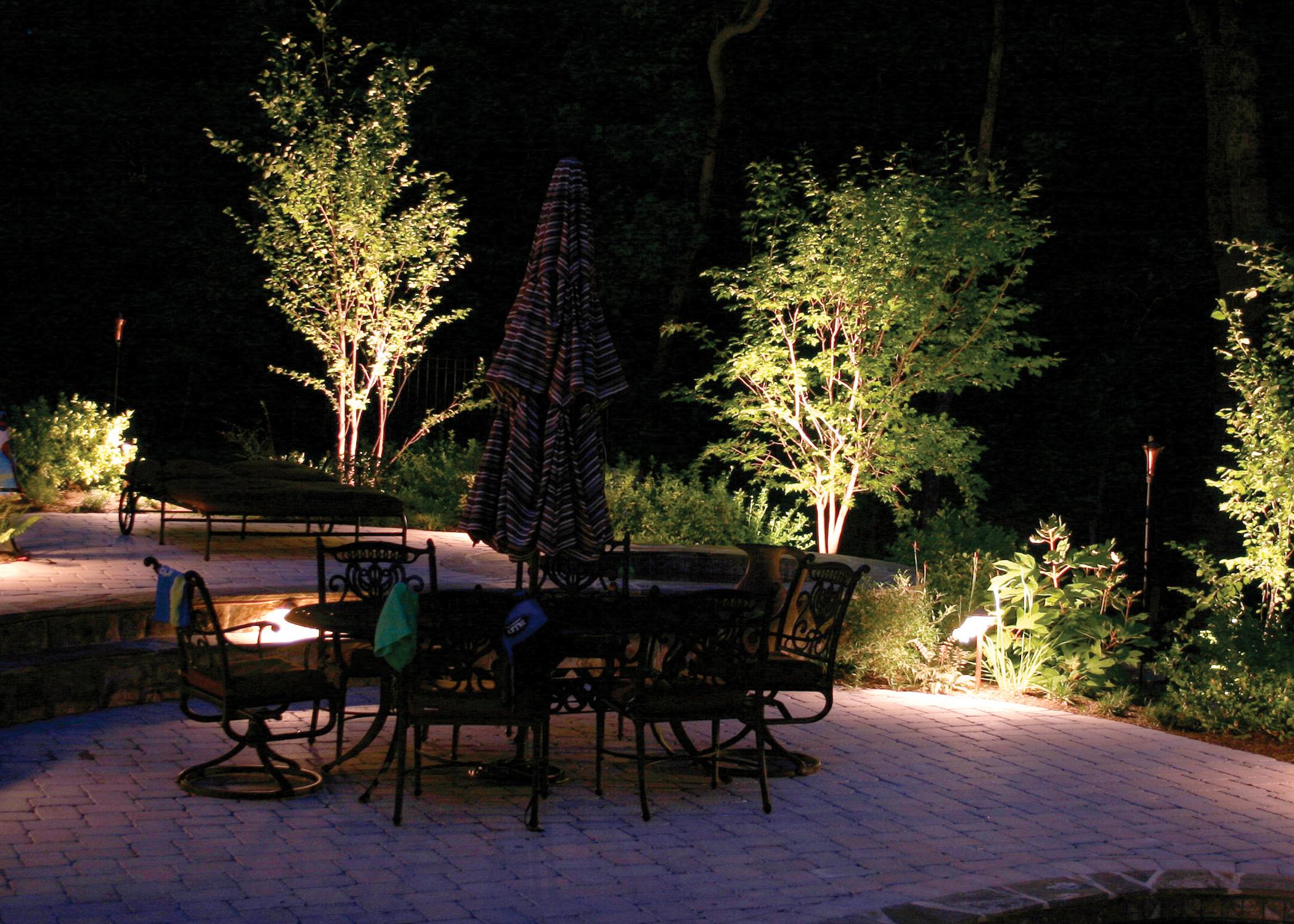 iluminar plantas y arboles jardin